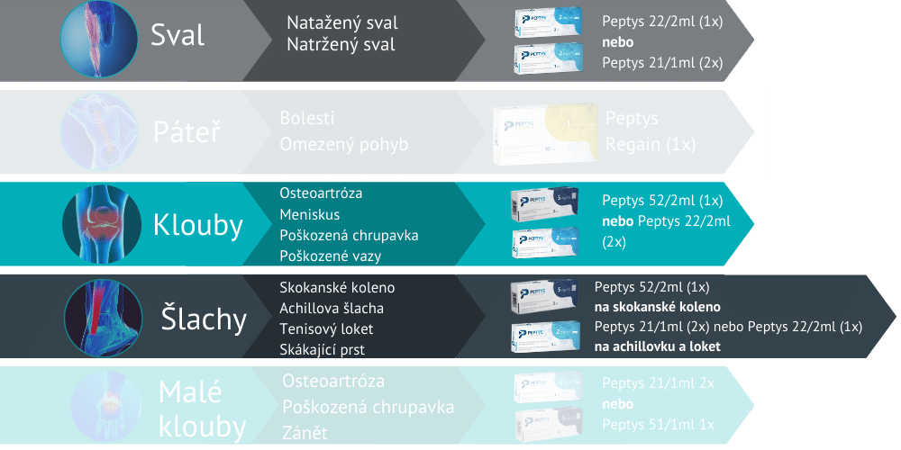 Injekce s peptidy Peptys 22/2ml do svalu