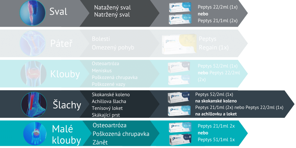 Peptys 21/1ml na svaly slachy a male klouby