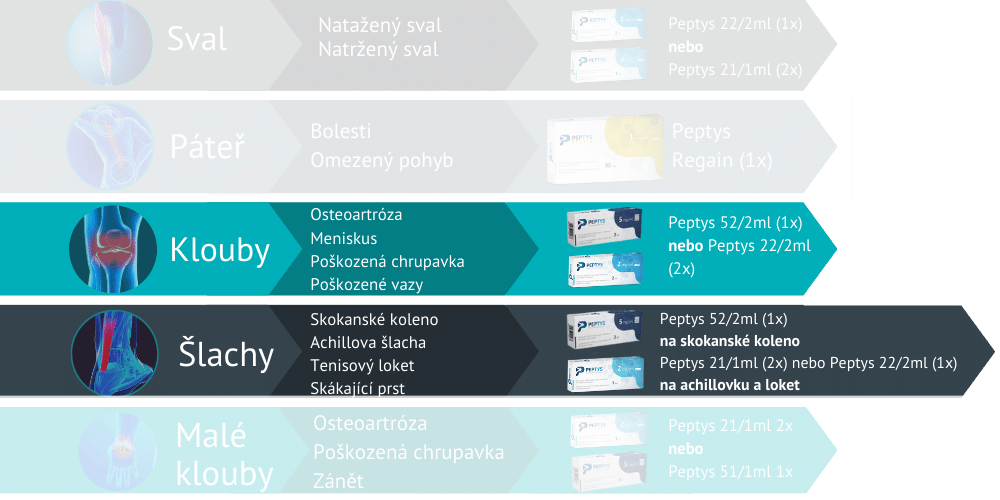 Injekce s peptidy Peptys 52/2ml do kloubů a šlach